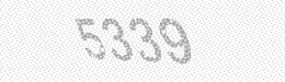 Visual security code — type the characters shown in the image