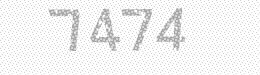 Visual security code — type the characters shown in the image